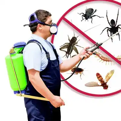 pest control Germantown
